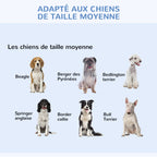 Caisse de transport pliante pour chien — vue 5