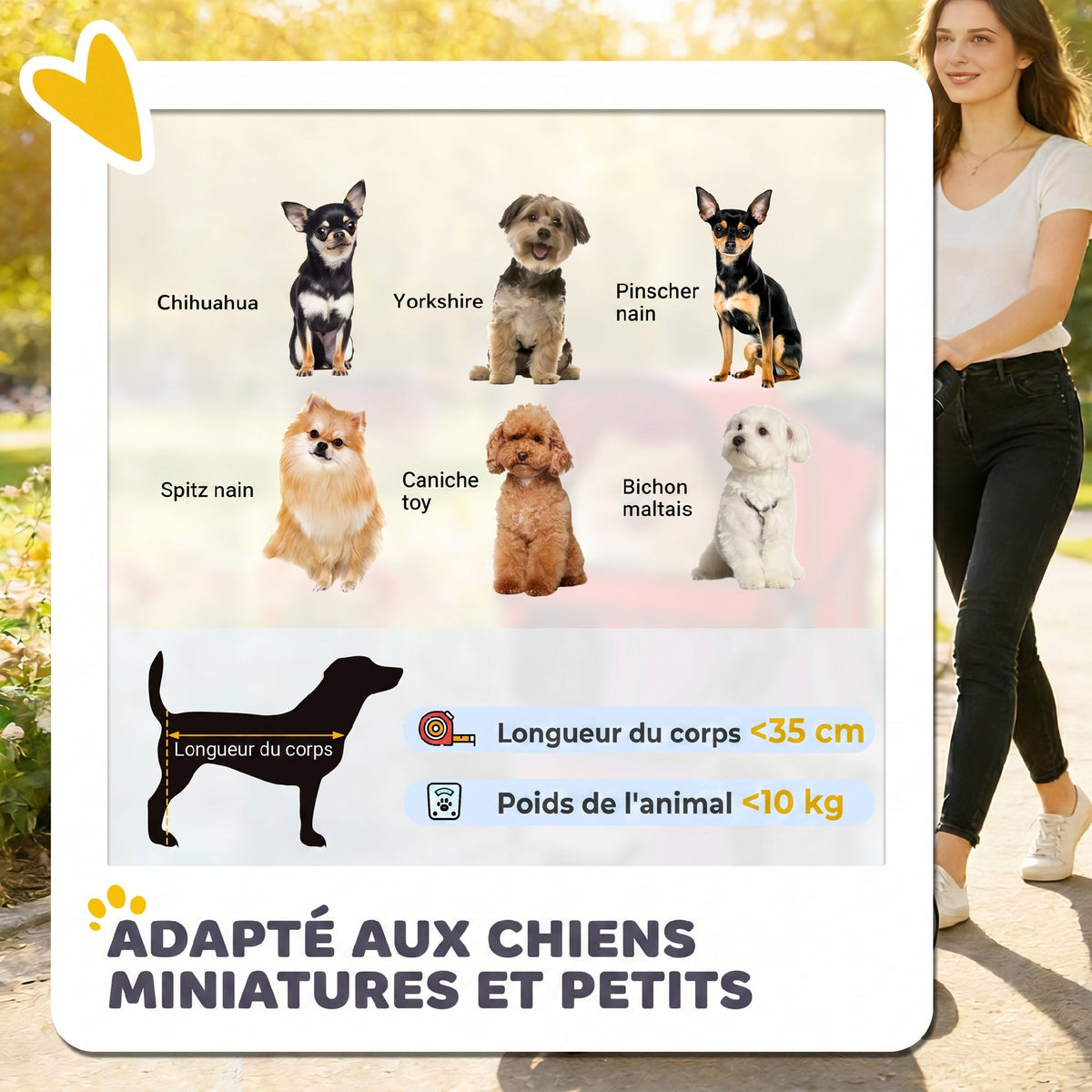 Poussette pour Chien 4 Roues, Chariot Pliable avec Auvent Réglable, Panier de Rangement, 77x44x102cm, Rouge-3