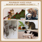 Arbre à chat XXL arbre à grimper pour chat multi-équipements griffoirs 6 plate-formes 2 niches hauteur 200 cm gris-5